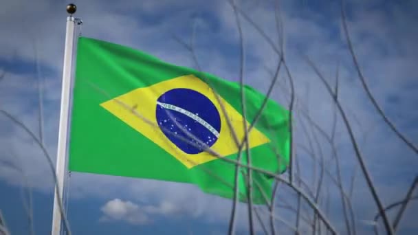 Bandera Brasil Ondeando Con Cielo Azul Verano Polo Bandera Del — Vídeos de Stock