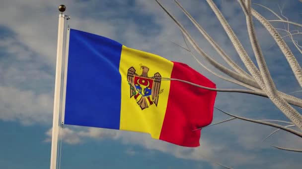 Bandera Nacional Moldavia Ondeando Con Cielo Nublado Banner Moldavo Que — Vídeo de stock