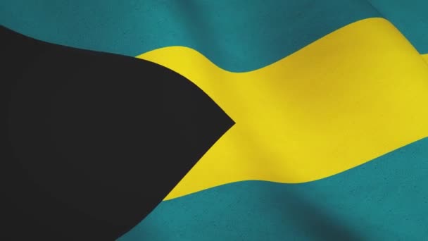 Bahamalar Arka Planında Kumaş Bayrağı Sallıyor Bahama Ulusal Bayrağı Yakın — Stok video