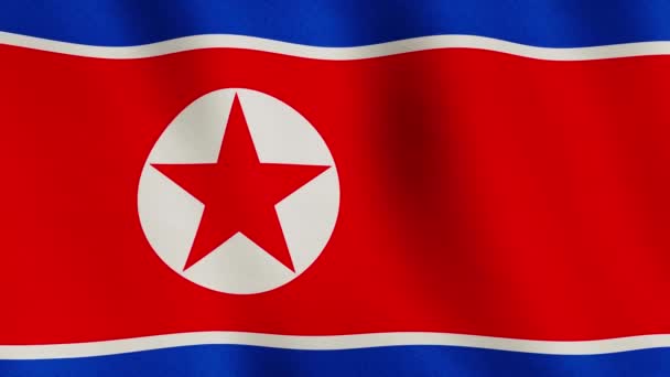 北朝鮮の背景フラグループ映像を振って 北朝鮮の愛国者の旗と閉鎖愛国的シンボル シームレスなループアニメーションビデオ — ストック動画