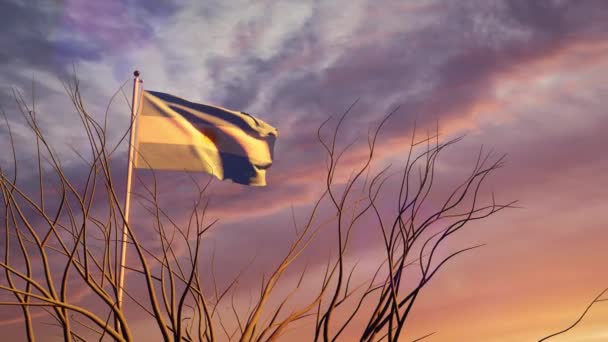 Argentiniens Flagge Bei Sonnenuntergang Weht Himmel Dramatisches Argentinisches Emblem Der — Stockvideo