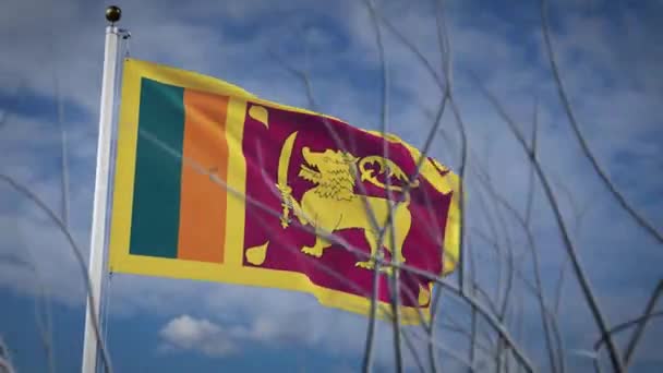 Bandera Sri Lanka Ondeando Cielo Soleado Patriótico Asta Bandera Sri — Vídeo de stock