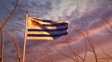 Gün batımında dalgalanan Uruguay bayrağı ve gökyüzünde dalgalanan. Ulusal gurur için Uruguay bayrağı - video animasyonu