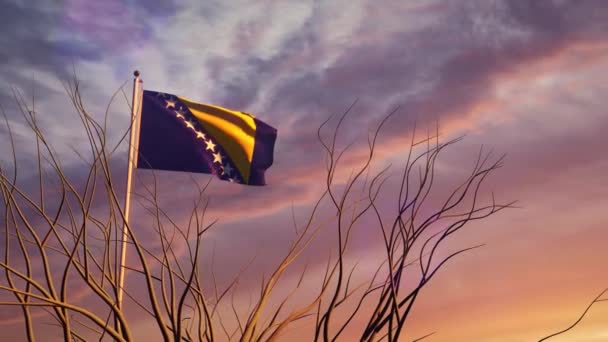 ボスニアの旗は日没時に飛んで空に手を振る ボスニアの誇りのためのバナー ビデオアニメーション — ストック動画