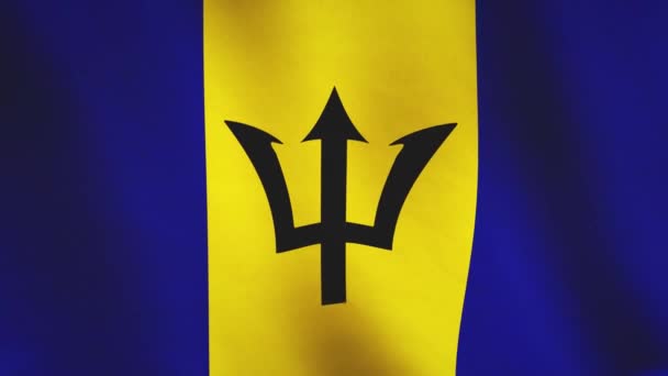 Barbados Flag Waving Background Footage Flowing Barbadian National Ensign Slow — Stock Video