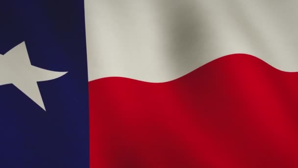 Texas Flagga Vinkar Den Ensamma Stjärnstaten Patriotisk Fana Och Amerikanskt — Stockvideo