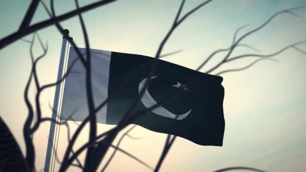 Die Pakistanische Flagge Weht Einer Stange Sonnenlicht Hinterleuchteter Pakistanischer Fahnenmast — Stockvideo
