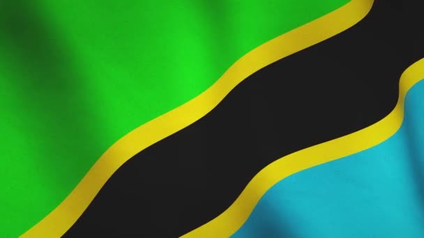 坦桑尼亚挥动国旗背景全屏 坦桑尼亚政治标志和慢动作标志 无缝循环视频动画 — 图库视频影像
