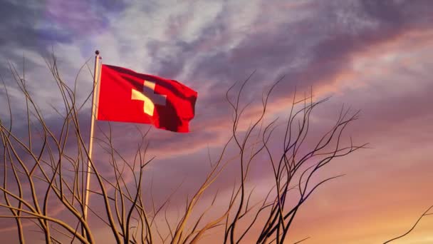 Suiza Ondeando Bandera Puesta Del Sol Muestra Victoria Swiss Windy — Vídeo de stock