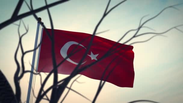 Флаг Турции Развевается Столбе Солнечном Свете Подсветка Турецкого Флагштока Показывает — стоковое видео