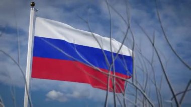 Rusya bayrağı güneşli gökyüzünde dalgalanıyor. Vatansever Rus bayrak direği özgürce sallanıyor - video animasyonu