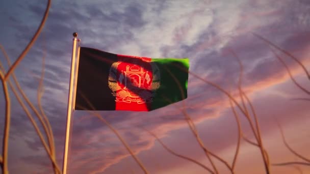 Afghanistan Che Sventola Bandiera Del Tramonto Mostra Vittoria Afghanistani Vento — Video Stock