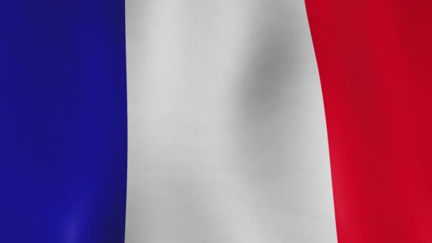 フルスクリーンバナーを振ってフランスの国旗の背景 フランスの政治的な国の紋章とスローモーションシンボル シームレスなビデオアニメーションループ — ストック動画