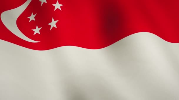 Singapore Flagga Bakgrund Viftande Flödande Banner Singapores Nationella Landemblem Och — Stockvideo