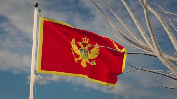 Černá Hora Vlaje Národní Hrdostí Černohorská Vlajka Tyči Představuje Vládní — Stock video