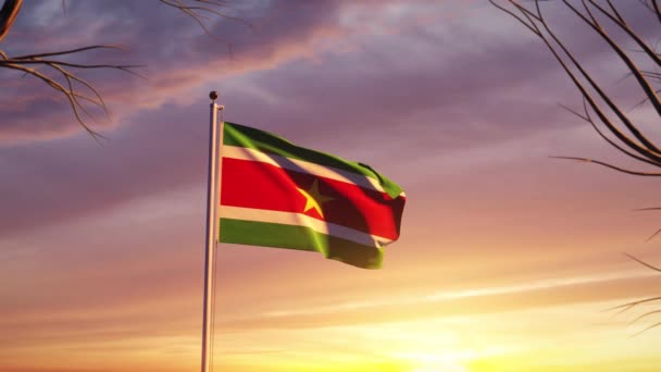 Flagpole Suriname Pôr Sol Voando Uma Bandeira Liberdade Orgulho Nacional — Vídeo de Stock