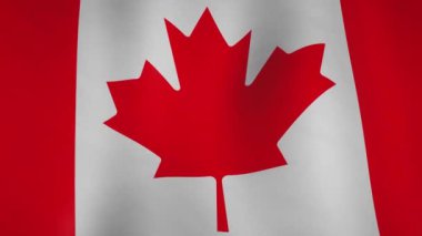 Kanada arka plan bayrağı rüzgarda dalgalanıyor. Kanada vatanseverlik sembolü kutlama ve özgürlük - kusursuz video animasyonu