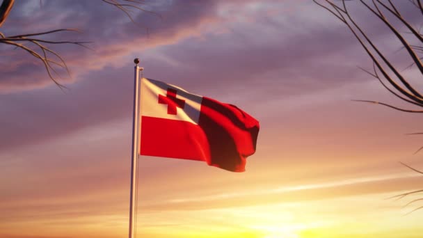 Tonga Flagpole Atardecer Con Bandera Libertad Nacionalmente Orgulloso Bandera Soplar — Vídeos de Stock