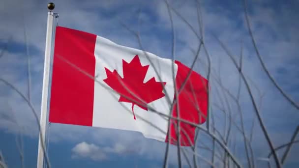Kanadas Flagga Viftar Med Nationell Stolthet Kanadensisk Flygande Banner Stolpe — Stockvideo