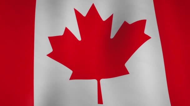 Bandeira Fundo Canadá Acenando Vento Símbolo Patriótico Canadense Celebração Liberdade — Vídeo de Stock