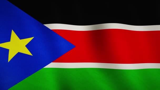 South Sudan Background Flag Texture Waving Sudanese Fabric Emblem Flying — Stock Video