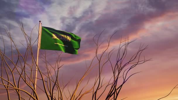 Drapeau Arabie Saoudite Coucher Soleil Arborant Drapeau Liberté Fierté Nationale — Video