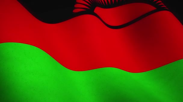 Malawi Textura Bandera Fondo Ondeando Tejido Malauí Emblema Del Orgullo — Vídeo de stock