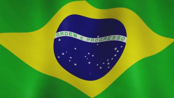 Brasilien Hintergrund Flagge Textur Schwenken Brasilianischer Stoff Und Emblem Des — Stockvideo