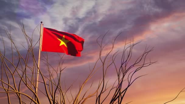Vietnam Lengetett Zászlót Naplementekor Lassított Felvételen Vietnámi Szeles Zászlórúd Nyári — Stock videók