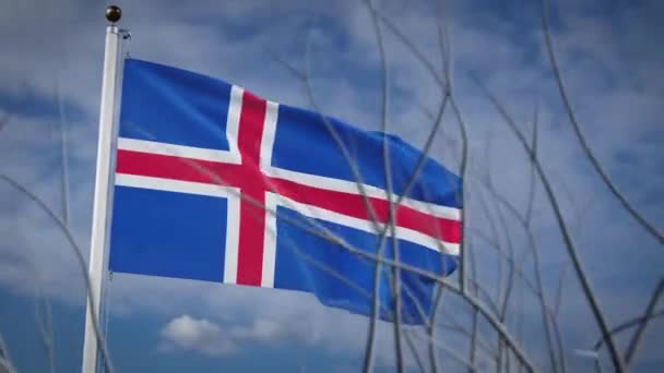 Iceland Country Flag Waving National Pride Icelandic Flying Banner Pole — Stock Video
