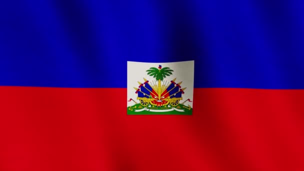 Haiti Acenando Fechamento Bandeira Para Democracia Haitiano Patriota Sinal Voando — Vídeo de Stock
