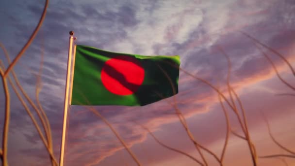 Bangladesch Schwenkt Flagge Bei Sonnenuntergang Zeitlupe Bangladeschs Windiger Fahnenmast Der — Stockvideo