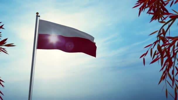 波兰国旗飘扬 树木飘扬 背光波兰国徽在杆子上显示出自豪 3D动画 — 图库视频影像