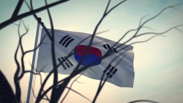 Sydkorea Flagga Genom Träd Viftande Och Bakgrundsbelyst Sydkoreas Flaggstång Representerar — Stockvideo