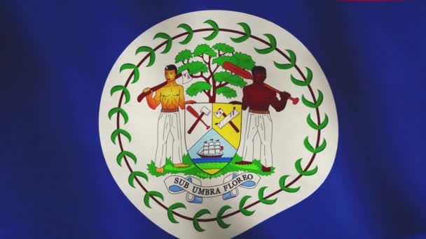 Belize Viftar Med Bakgrundsflaggan Som Symbol För Demokratin Belizeansk Emblem — Stockvideo