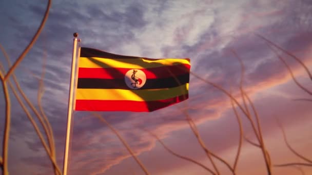 Uganda Ondeando Bandera Atardecer Cámara Lenta Poste Vinícola Ugandés Sol — Vídeos de Stock