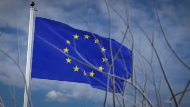 Bandera Unión Europea Ondeando Cielo Azul Independencia Nacional Que Muestra — Vídeo de stock