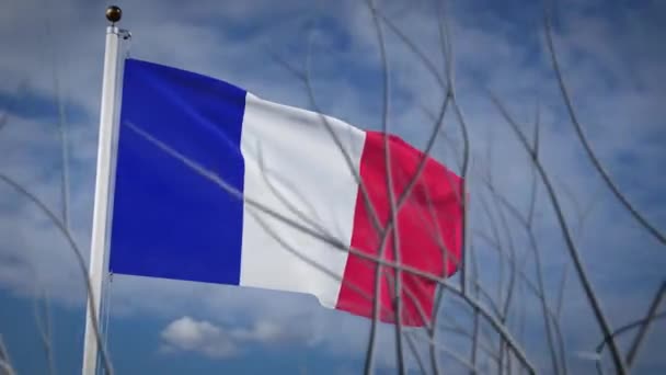 Franciaország Zászlója Lobogott Kék Égen Nemzeti Francia Függetlenség Bemutató Demokrácia — Stock videók