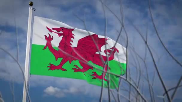 Wales Zászlója Lobogott Kék Égen Nemzeti Walesi Függetlenség Demokráciáról Büszkeségről — Stock videók