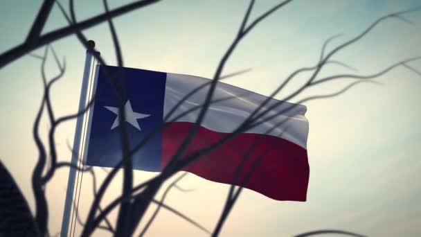 Texas Flag Waving Lone Star State Patriotic Banner American Emblem — Stock Video