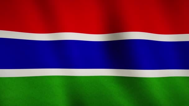 Gambia Flagga Viftande Abstrakt Närbild Visar Nationell Demokrati Gambian Bakgrund — Stockvideo