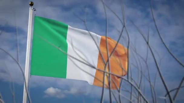 Irlanda Hasteando Bandeira Acenando Céu Azul Independência Nacional Irlandesa Mostrando — Vídeo de Stock