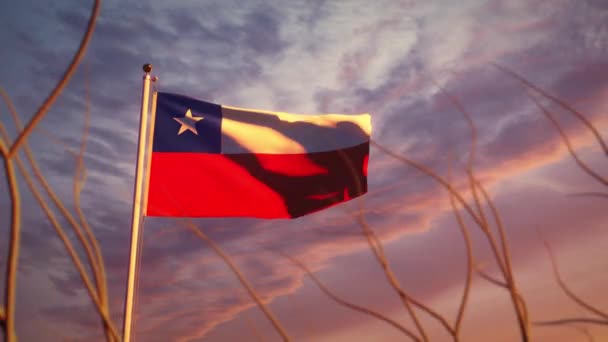 Bandera Del Amanecer Chile Ondeando Dramático Video Polo Bandera Chilena — Vídeo de stock