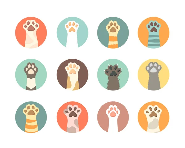 Collection pattes de chat. animaux domestiques mains empreintes de chaton animaux symboles. Vecteur parties plates du corps des chats — Image vectorielle