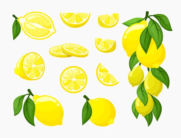 Limon seti. Sarı narenciye taze sulu, yapraklı bir demet olgun limon, organik vitamin, bütün ve kesilmiş. Düz biçimli vektör grafikleri, clipart. — Stok Vektör