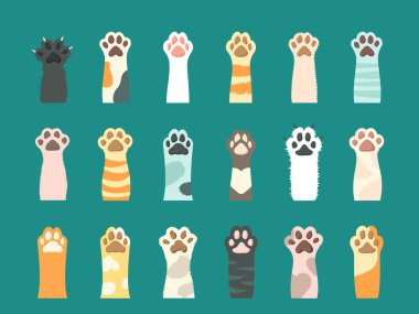 Pençeli kedi pençesi. Pofuduk renkli kedi patisi, siyah, pembe, beyaz, çizgili, benekli, sarı, pençeli ya da pençesiz turuncu, sevimli ve memnun pençeli evcil kedi yavrusu. Düz bir şekilde vektör grafiği.