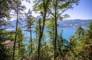 Göl brienz, İsviçre