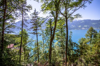 Göl brienz, İsviçre