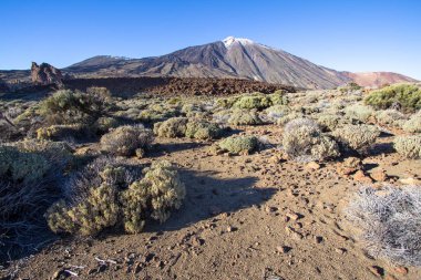 Teide Milli Parkı Tenerife, İspanya