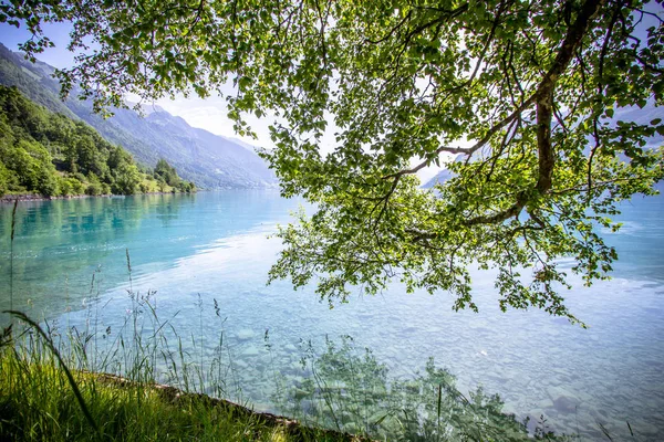 Lago Brienz, Suiza —  Fotos de Stock